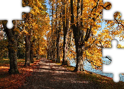 Jesień, Park