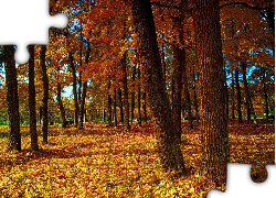 Jesień, Park
