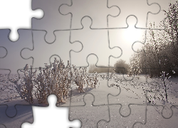 Zima, Przebijające, Światło, Szuwary