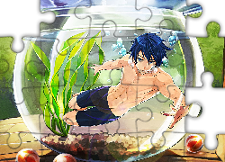 Free! - Iwatobi Swim Club, Nanase Haruka, anime, akwarium