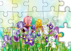 Kwiat, Kolorowe Irysy, Grafika, Art