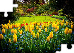 Tulipany, Park Queen Elizabeth, Vancouver, Kanada