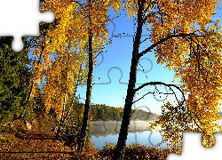 Jesień, Jezioro, Poranek, Mgła, Drzewa