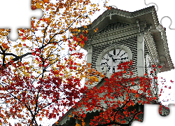 wieża zegarowa, Sapporo, Japonia, liście, jesień