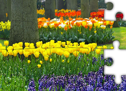 Park, Keukenhof, Lisse, Wiosna, Kwiaty, Rozmycie