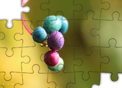 Kolorowe, Jagody, Kuleczki, Roślina