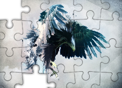 Ptak, Grafika, Komputerowa