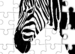 Zebra, 2D