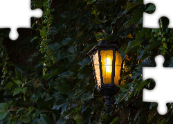 Drzewo, Liście, Latarnia, Park