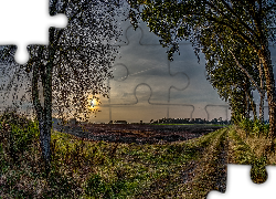 Wieś, Pola, Droga, Zachód Słońca, Drzewa