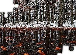 Liście, Kałuża, Park, Pierwszy, Śnieg