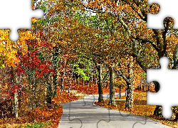 Jesień, Park, Alejka, Drzewa