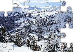 Zima, Góry, Lasy, Drzewa, Świerki