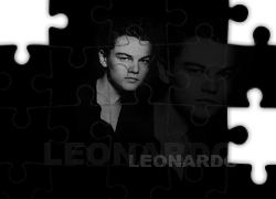 Leonardo DiCaprio,odbicie