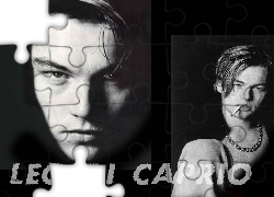 Leonardo DiCaprio,papieros, łańcuch
