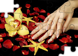 Dłonie, Płatki, Kwiat