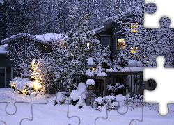 Zima, Dom, Drzewa, W Śniegu