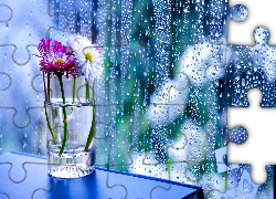 Kwiaty, Szyba, Deszcz