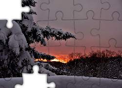 Ośnieżony, Świerk, Szuwary, Bijący, Blask