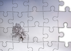 Drzewo, Zima, Śnieg