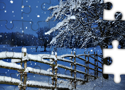 Zima, Śnieg, Noc, Drzewa, Ogrodzenie