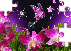 Motyl, Gwiazdy, 2D