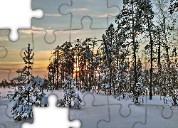 Zima, Śnieg, Zachód Słońca, Las, Drzewa