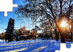 Zima, Park, Przebijające, Światło, Drzewa