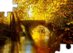 Rzeka, Most, Przebijające, Światło, Jesień