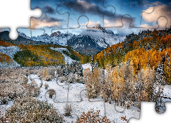 Zima, Góry, Las, Drzewa