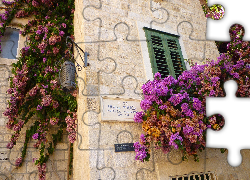 Budynek, Kwiaty, Chorwacja