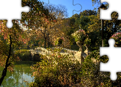 Park, Most, Drzewa, Jesień
