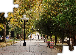 Park, Aleja, Drzewa, Lampy