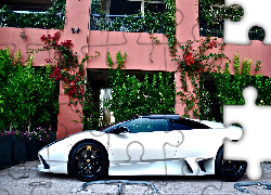 Lamborghini, Murcielago, Biały, Samochód, Dom, Kwiaty