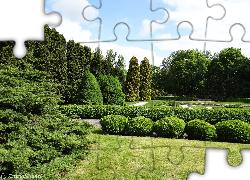 Krajobraz, Drzewa, Krzewy, Park