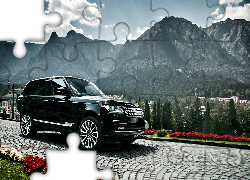 Czarny, Samochód, Góry, Kwiaty, Drzewa, Range Rover