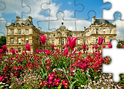 Pałac, Luksemburski, Ogród, Kwiaty, Paryż