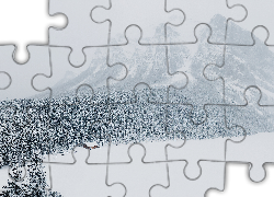 Zima, Las, Góry, Śnieg