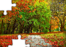 Jesień, Park, Ścieżka, Drzewa, Liście