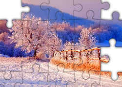 Zima, Ogrodzenie, Drzewo