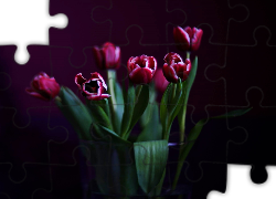Tulipany, Wazon, Czarne,Tło