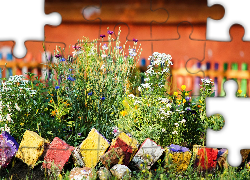 Natura, Kolorowe, Kwiaty