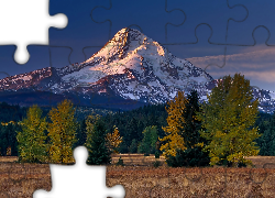 Ośnieżone, Wierzchołki, Gór, Drzewa