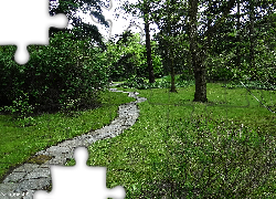 Krajobraz, Park, Dróżka
