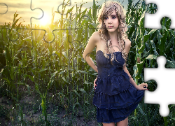 Kobieta, Blondynka, Przebijające, Światło, Kukurydza, Pole