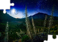 Góry, Niebo, Zmierzch, Księżyc, Rośliny