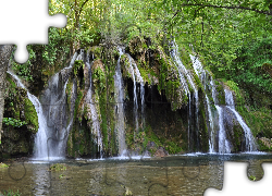 Kaskada, Roślinność