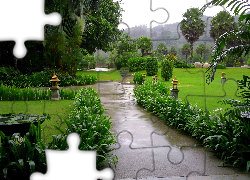 Tropikalny, Park, Aleja, Zieleń, Tajlandia