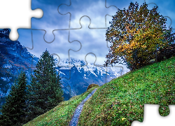 Góry, Łąka, Ścieżka, Drzewa