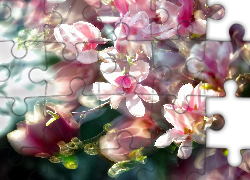 Wiosenne, Kwiaty, Rozmycie, Art